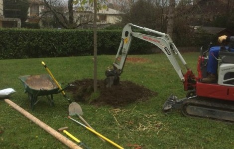 Plantation